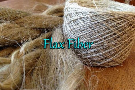 ¡Fibra de Flax: Descubriendo la Versatilidad Industrial de un Material Milenario!