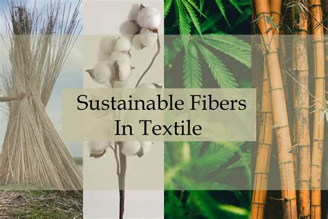  ¡Jute: Explorando la Fibra Natural para la Producción de Textiles Duraderos y Sostenibles!