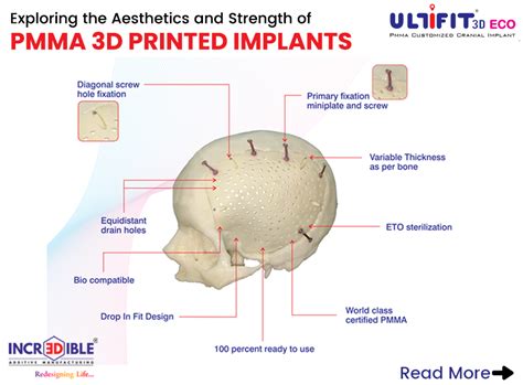  Resilin: Una Maravilla Natural para Implantes Biocompatibles!